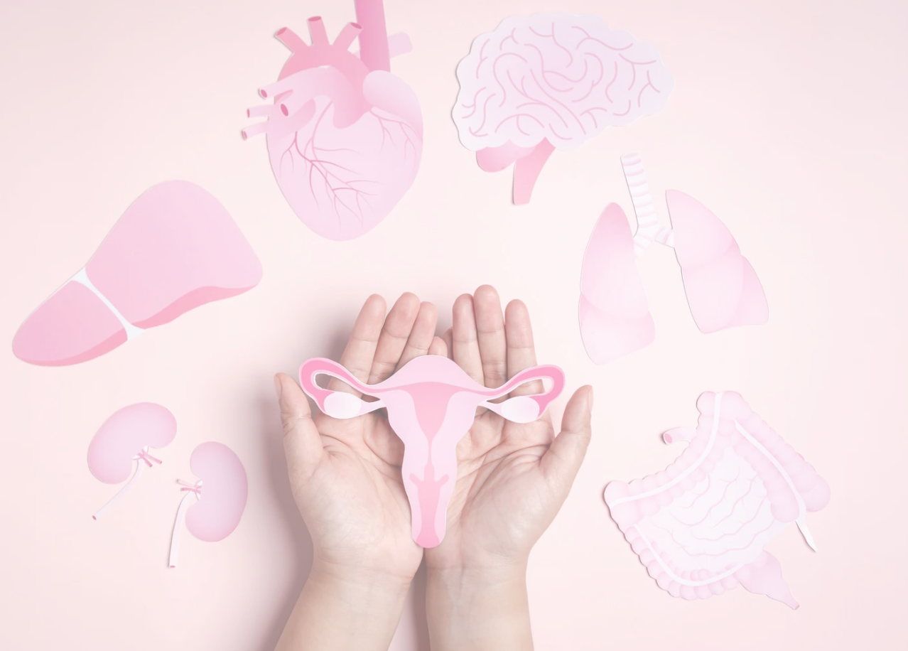 Imatge de la notícia:  La Setmana de la Menopausa ofereix dues xerrades gratuïtes els dies 14 i 15 d’octubre